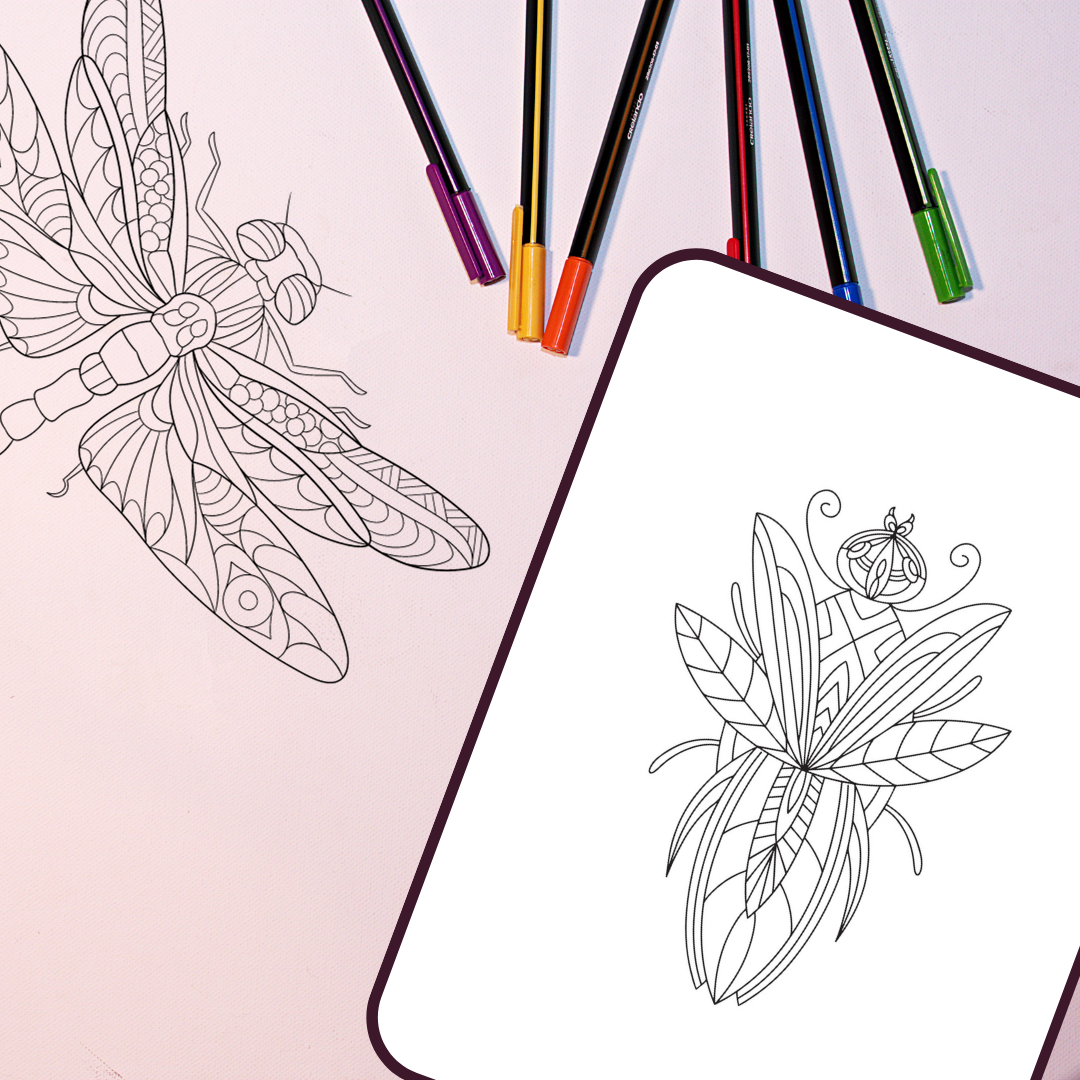 Beetle coloring worksheet