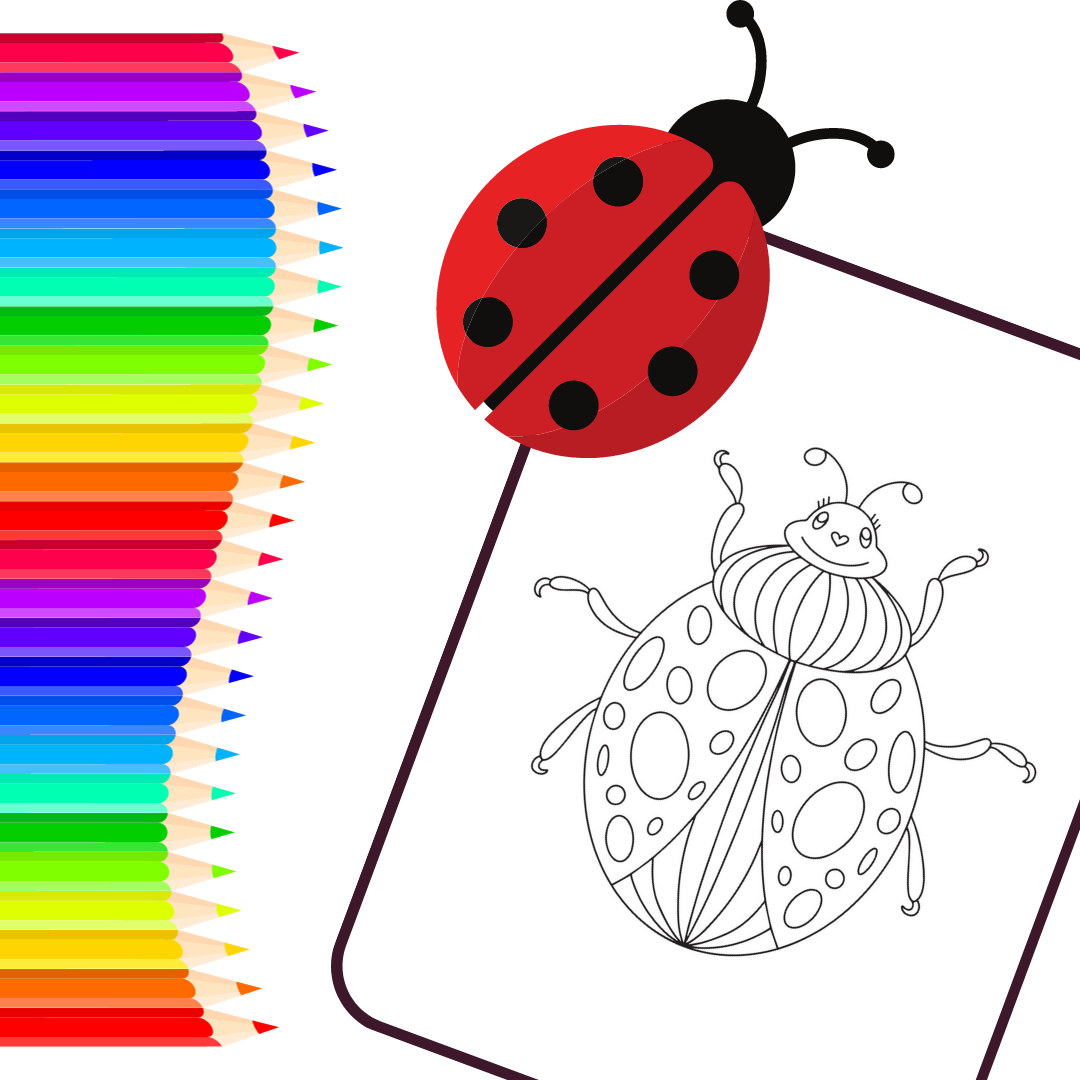 Beetle coloring worksheet